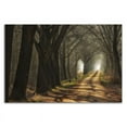 thumbnail image 3 of 21" x 14" Paths by Lars Van de Goor - Wall Art Print on Canvas Fabric White, 3 of 3