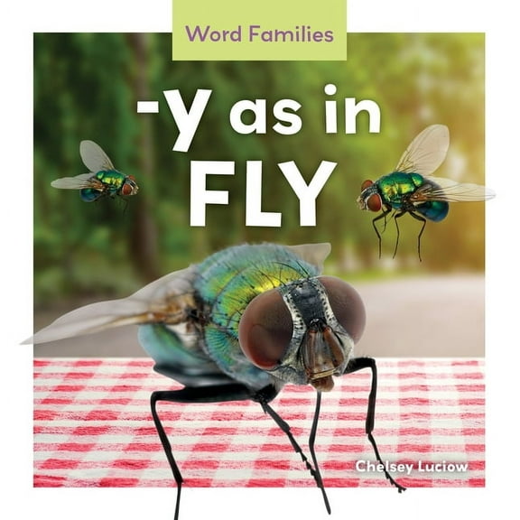 Word Families -Y as in Fly, (Hardcover)