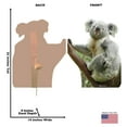 thumbnail image 5 of Koala Bear, 5 of 5