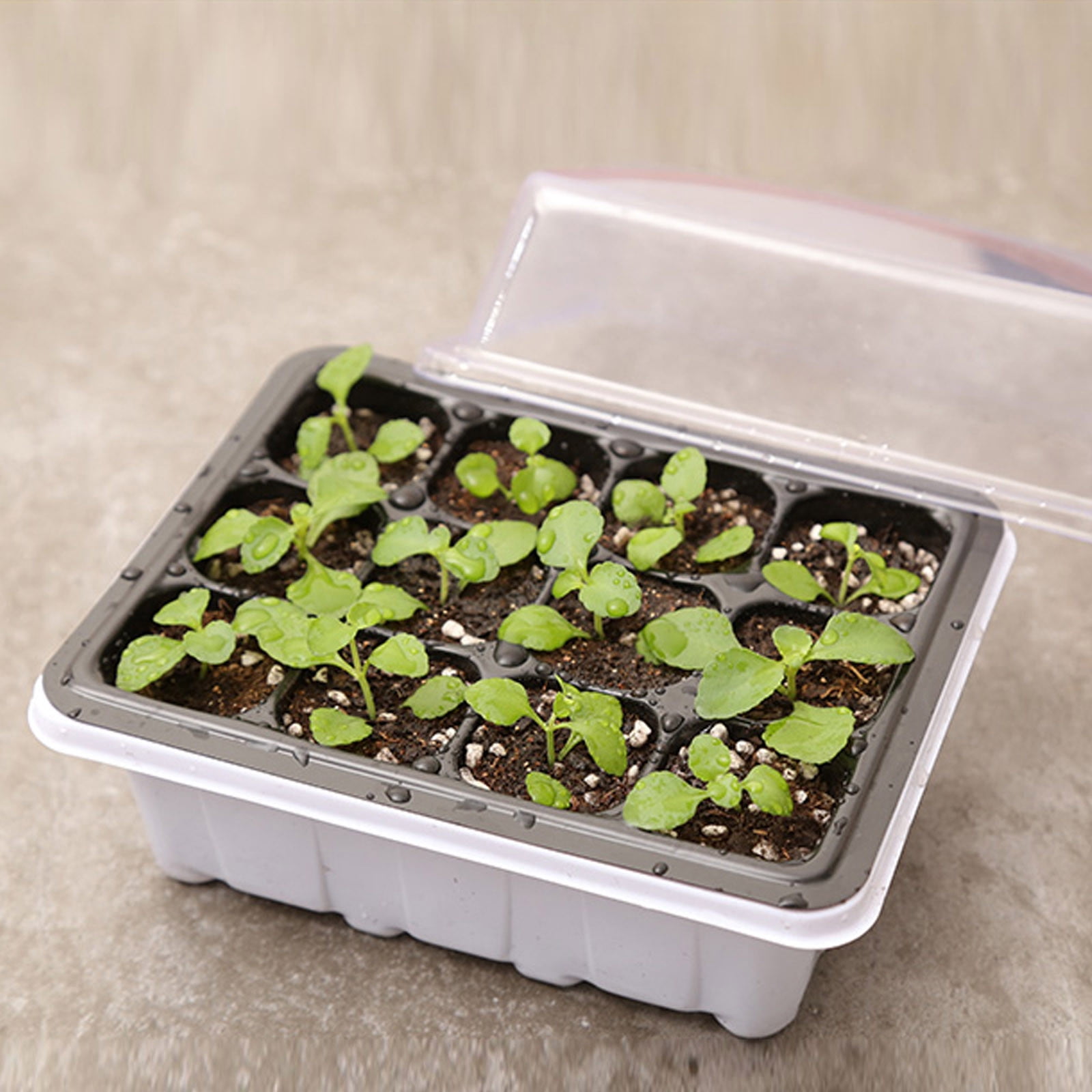 MUAXDA 5 Packs Seed Starter Tray, Seed Starter Kit, Plant Starter Kit, Mini Greenhouse Germination Kit for Seeds Growing Starting (6 Cells Per Tray)