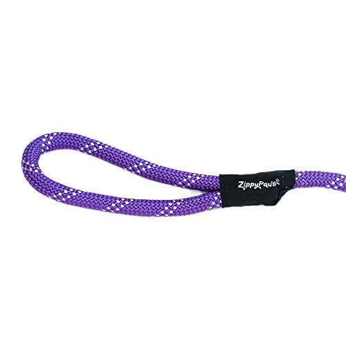 Climbers Dog Leash 6ft Purple