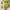 Green, variant on Clearance Under $5 PEONAVET Womens 5" Biker Shorts with Pocket Athletic High Waisted Yoga Workout Shorts Workout Tummy and Control Summer Cycling Running GBike Short Leggings - Summer's Top Trends