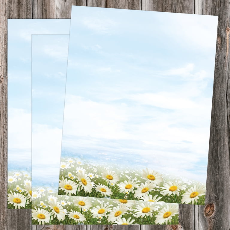 Pansy Border Letterhead Paper - 100 Sheets, 8.5x11", 28 Lb Premium Stock For Laser & Inkjet Printers (Made In USA)
