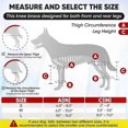thumbnail image 5 of Canine Support Brace for Hind Leg Stability, Cruciate Ligament Care, Dog Joint Brace for Back Leg and Hip Support, 5 of 5