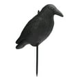 thumbnail image 2 of Crow Decoy, Simulation Crow Decoy Waterproof Lifelike   For Courtyard, 2 of 8