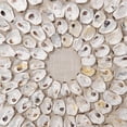 thumbnail image 5 of Jamie Young Co Maldives Framed Coastal Wood Wall Art in White, 5 of 9