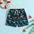 thumbnail image 2 of Zanarzt Boys Bathing Suit Swim Trunks Boys Toddler Bathing Suits for Kids Swimwear Baby Boy Swimsuit Boys Swim Shorts Black,12-18 Months, 2 of 6