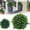 C, variant on Artificial Topiary Plant Balls Round Greenery Ball 7.87 Inch Plastic Hanging Grass Ball Lifelike Plant Sphere for Ceiling Home Wedding Decor Green