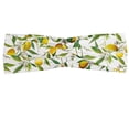 thumbnail image 1 of Nature Headband, Flowering Lemon Woody Plant Romance Habitat Citrus Fresh Background, Elastic and Soft Women's Bandana for Sports and Everyday Use, Grey Red Coconut, by Ambesonne, 1 of 3