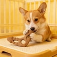 thumbnail image 5 of Catnip Cat Toy,Dog Chew Toys Bones-like Teething Sticks Lasting Interactive Chew Toy for Dogs, 5 of 6