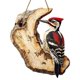 thumbnail image 2 of Decoración del hogar, decoración de habitaciones, decoración de paredes, pájaros colgantes de estilo rural, colgante de pared de madera 2D como regalo para los amantes de las aves, artesanía decorativ, 2 of 6