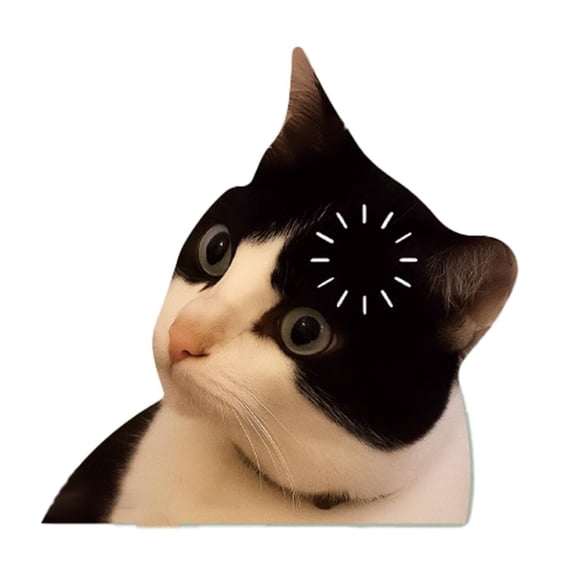 NOVELAR Funny Cat Face Stickers, 3.9 Inch Removable Adhesive Decals, Add Personality to Your Phone Case, Tablet, and School Supplies