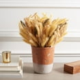 thumbnail image 2 of SAFAVIEH Faux 14 Inch Wheat Eat Potted Arrangement, Multi, 2 of 5