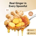 thumbnail image 3 of DAMTUH Honey Ginger Herbal Marmalade Tea – Caffeine-Free, 2.2 lbs (1kg) Jar, 3 of 7