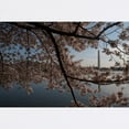 thumbnail image 2 of CafePress - Mousepad - Non-slip Rubber Mousepad, Gaming Mouse Pad, 2 of 6