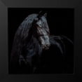 thumbnail image 2 of PHBurchett 12x12 Black Modern Framed Museum Art Print Titled - Equine Portrait XI, 2 of 5