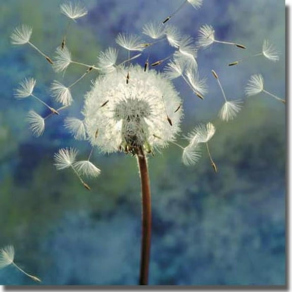 Artistic Home Gallery 1818646S Dandelion by Wans Premium Stretched Canvas Wall Art