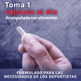 thumbnail image 3 of Suplemento Deportivo Sportfeed L Carnitina CLA Creatina Monohidratada y Vitamina E 90 Capsulas para 90 Dias, 3 of 5