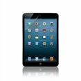 thumbnail image 1 of Lbt HD Screen Protector for iPad Mini, 1 of 1