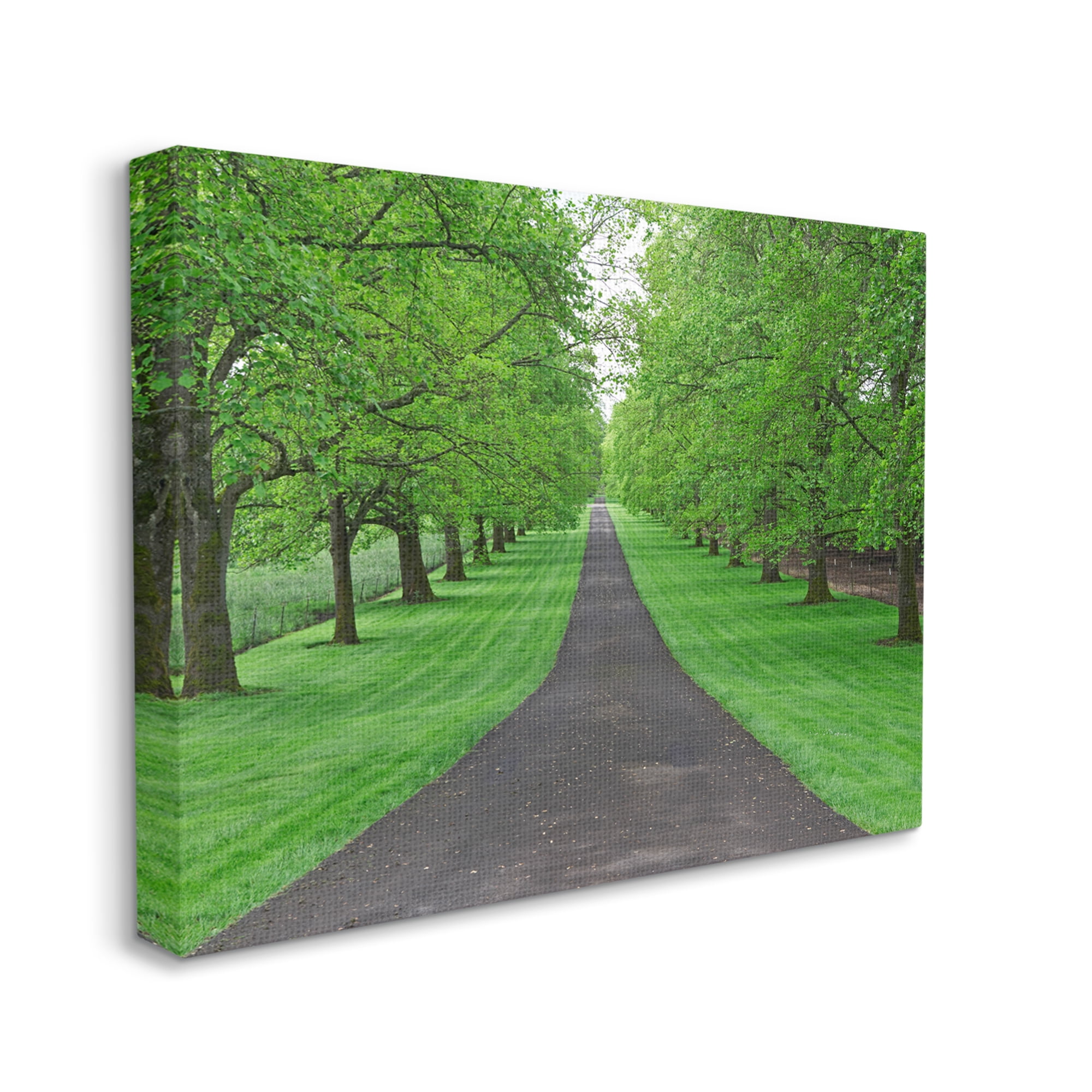 Stupell Industries Tree Grove Path Landscape Nature Photography Gallery Wrapped Canvas Print Wall Art, 48 x 36