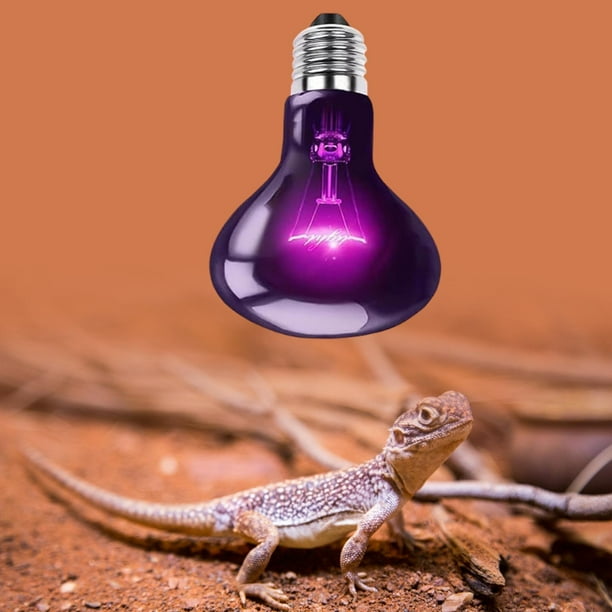 Bombilla de reptiles nocturna, lámpara de alquiler de luz para mascotas, lámpara de calor de simulada para tanques acuáticos, dragón barbudo 75W