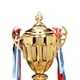 thumbnail image 5 of Copas Trofeos Premio Escultura Metal Grandes para Competiciones (7706D 37 Cm), 5 of 7