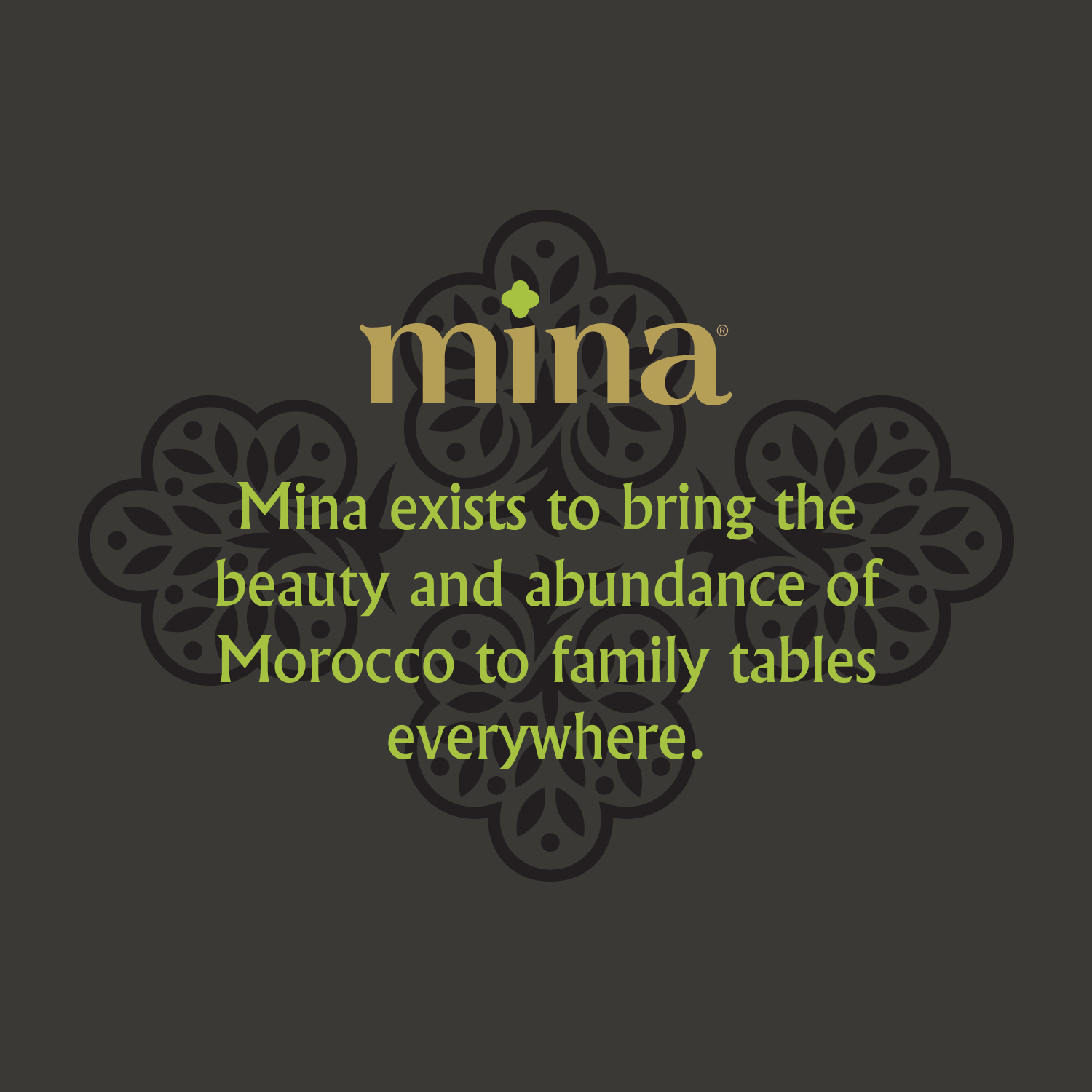 Mina Moroccan Extra Virgin Olive Oil, 169 fl oz, Cold Extracted, High Polyphenol, Single Origin also Great for Cooking