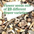 thumbnail image 4 of OwnGrown Bee Kind 10000 Wildflower Seeds Mix Flower Seed, Attract Bees, 4 of 8