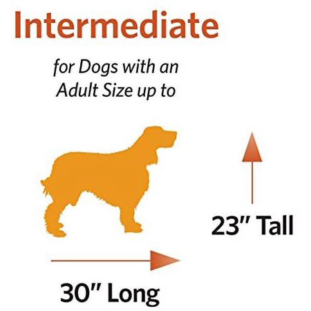 MidWest Homes For Pets Double Door iCrate Metal Dog Crate, 36