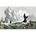 thumbnail image 2 of Currier and Ives 14x10 Black Ornate Wood Framed with Double Matting Museum Art Print Titled - Capturing The Whale, 2 of 4