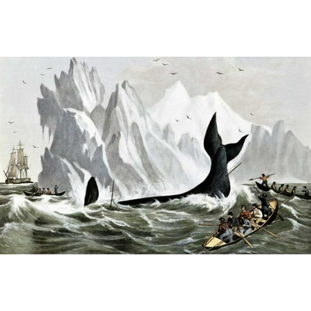 Capturing The Whale Stretched Canvas - Currier and Ives (12 x 18)