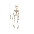 thumbnail image 2 of putnchl 3D Printed Skeleton Human Joint Movable Children's Halloween Toy Creative Refrigerator Magnet, 2 of 4