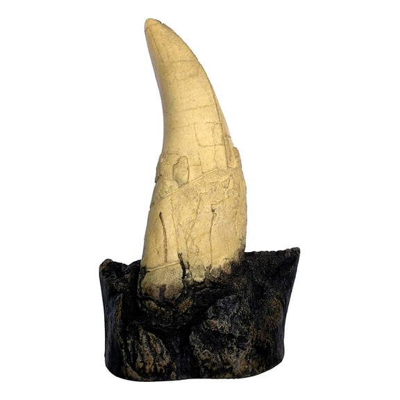 T-Rex - Tyrannosaurus Rex - Dinosaur Tooth Fossil Replica On Base - No Stand Needed!