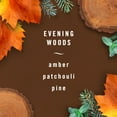 thumbnail image 3 of Febreze AUTO Air Freshener Vent Clip Evening Woods Scent, .06 oz Car Vent Clip, Pack of 2, 3 of 12