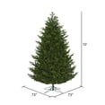 thumbnail image 3 of Vickerman 10' x 73" Eagle Fraser Full Artificial Christmas Tree, Warm White Dura-lit LED Lights, 3 of 5