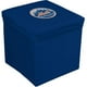 Baseline Sports Cards Stbbnym 16 Pouces Logo de l'Équipe Cube de Stockage- New York Met – image 1 sur 1