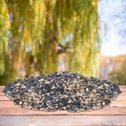 Divine Blend Wild Bird Seed Mix, 25 lbs - Premium Low-Waste Seed with 65% Black Oil Sunflower, Safflower, Millet & Peanuts, High-Energy Mix for Tube, Hopper & Platform Feeders, Carry Handle Bag