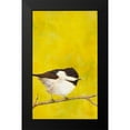 thumbnail image 2 of Altug, Mehmet 16x24 Black Modern Framed Museum Art Print Titled - Perch I, 2 of 5