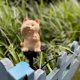 thumbnail image 4 of Luces de estaca de gato con energía Solar para camino al aire libre, iluminación de paisaje de césped, patio, pasarela, luz de jardín Solar para gato al aire libre, 4 of 5