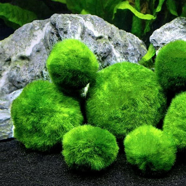 43pcs Decorative Green Globes Green Moss Balls Artificial Moss Rocks Potted