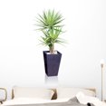 thumbnail image 1 of House Plant Yucca Wall Decal by Wallmonkeys Peel and Stick Graphic (48 in H x 25 in W) WM264392, 1 of 4
