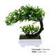 thumbnail image 4 of unbranded 2Ud Bonsai Artificial Verde Decorativo Ideal Para Hogar Y Oficina Con Material Resistente Y Fácil Limpieza, 4 of 5