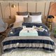 thumbnail image 1 of Blanket Thickening Winter Double Layer Raschel Coral Fleece Blanket Duvet zhangyuxiang LED, 1 of 2