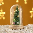 thumbnail image 2 of Qocolhg Clear Dome Cloche Plastic Domes for Crafts Plastic Dome Display Case Jar with Rustic Wood Base and LED Fairy Light Jar for Wedding Christmas Tabletop Centerpiece Decoration, 2 of 8