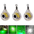 thumbnail image 4 of LED Fishing Lure Night Light Battery Powered Glow Underwater Attracting Fish Lamp Fishing Bait, 4 of 4