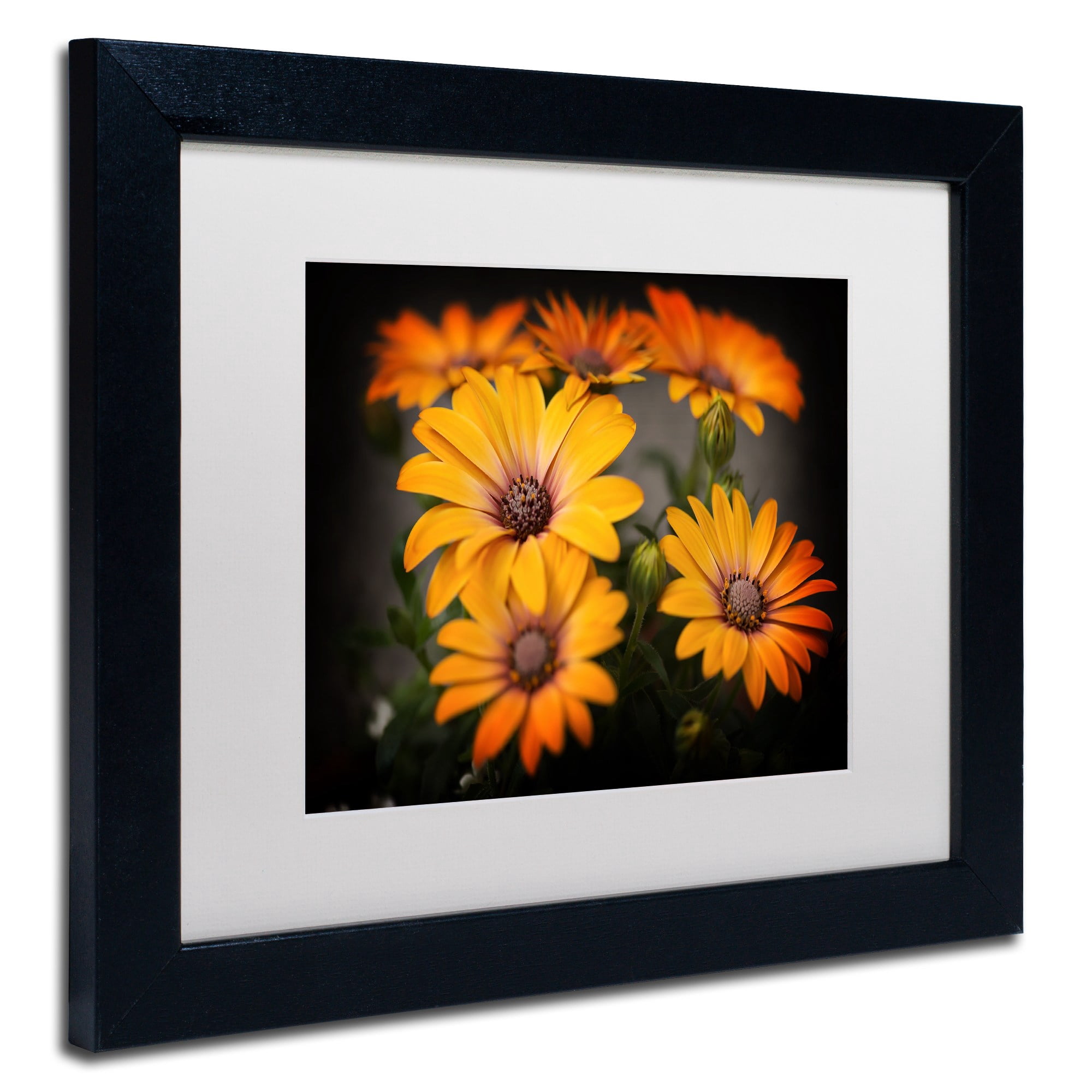 Trademark Fine Art "Stand Up" Canvas Art by Philippe Sainte-Laudy, White Matte, Black Frame