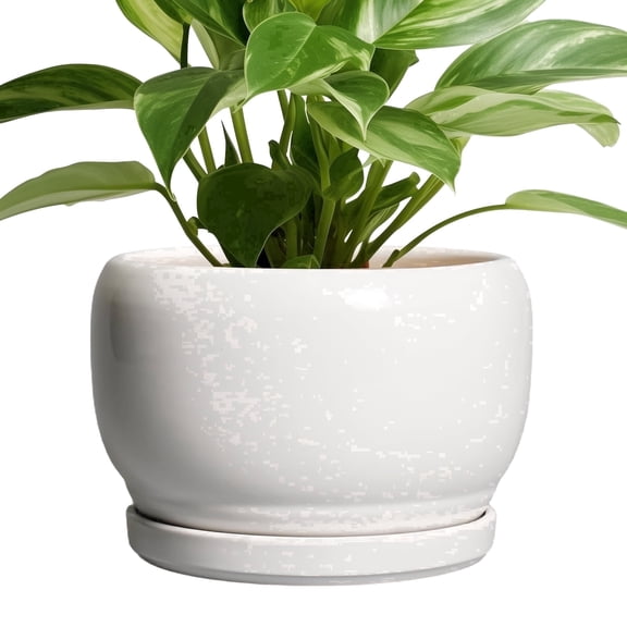Ordivic 8 inch Glossy White Ceramic Planter with Drainage Hole & Tray, Indoor Outdoor Round Flower Pot for ZZ Plants,Home Patio Decor