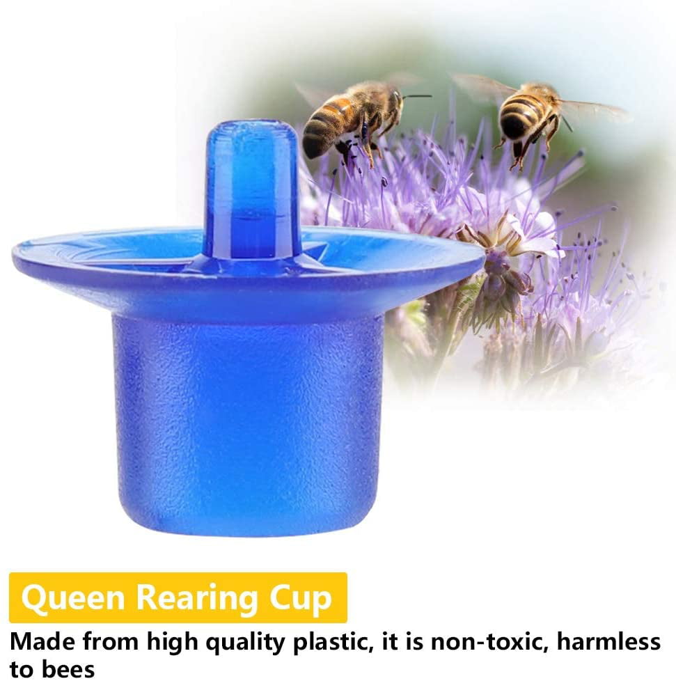 50pcs Beekeeping Queen Rearing Cell Cups Bee Keeper Equipment Cell Cups Tool 