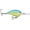 Caribbean Shad, variant on Rapala Dives-To Crankbait 10 Red Crawdad