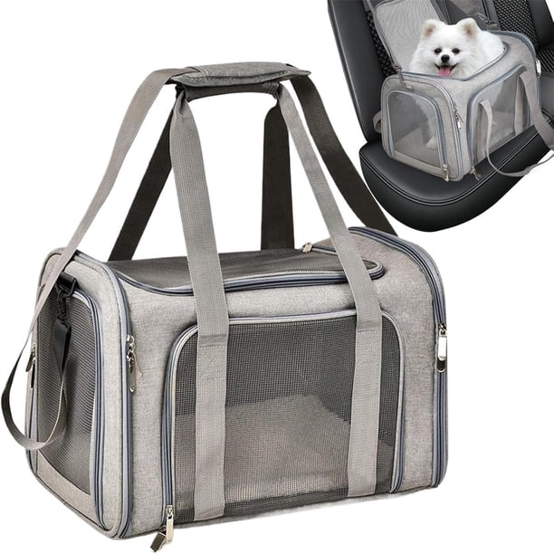 pet transfer da nang